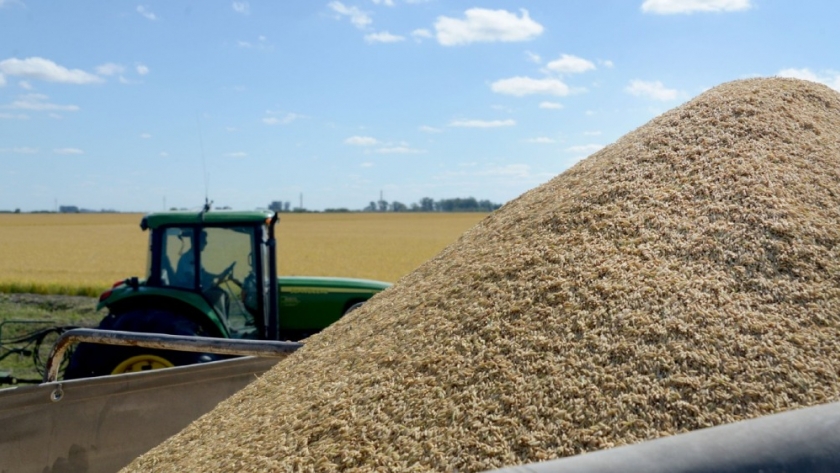 La inversión directa en capital de trabajo para la Campaña Agrícola 2023/24 se estima en más de 24 mil millones de dólares para casi 39 millones de hectáreas