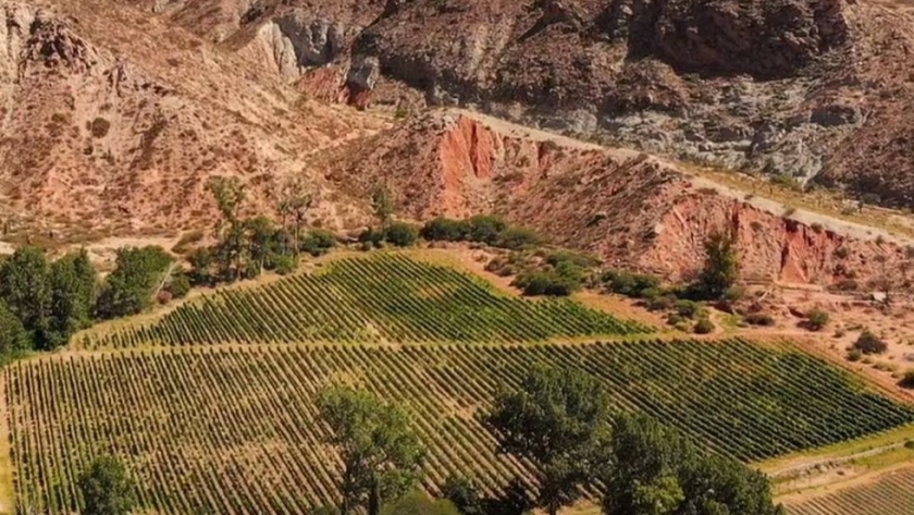 Si vas para Salta, no podes dejar de pasar por Cachi: estas son las 3 bodegas ideales para visitar