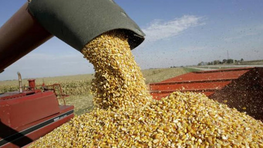 Agroindustria: se podrían exportar 29.000 mill/dol en soja y el maíz