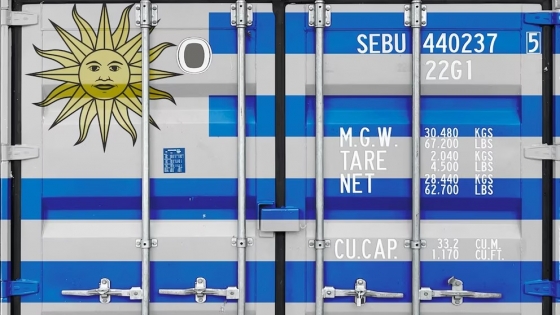 Exportaciones uruguayas crecieron 13% en 2024 impulsadas por la celulosa y la soja