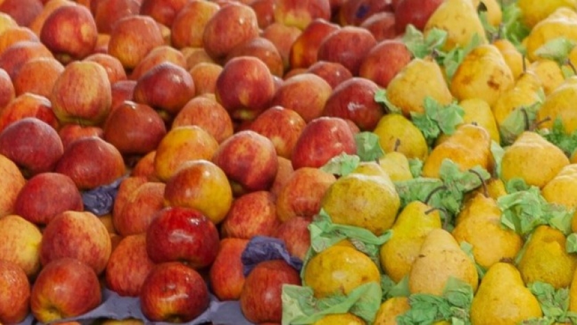 En 2020 la Argentina certificó 132 mil toneladas de producción orgánica
