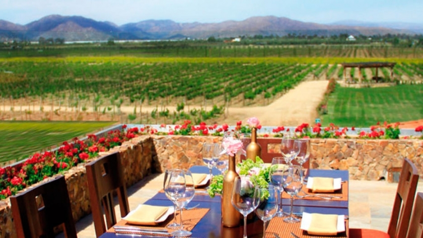 Bodegas restó 