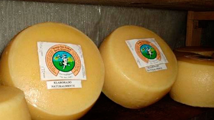 Otorgan sello "Producido por la Agricultura Familiar" a quesos de Santa Fe