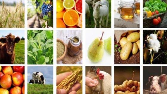 Economías regionales bajo presión: se enfría la rentabilidad y crecen las señales de alerta