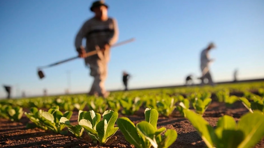 EE.UU. implementa asistencia a productores por US$16.000 millones