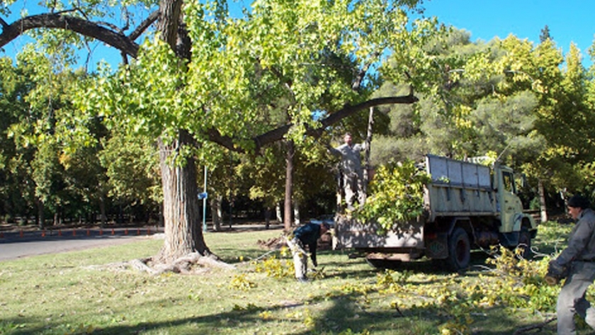 Comenzó la temporada de Poda en toda la provincia