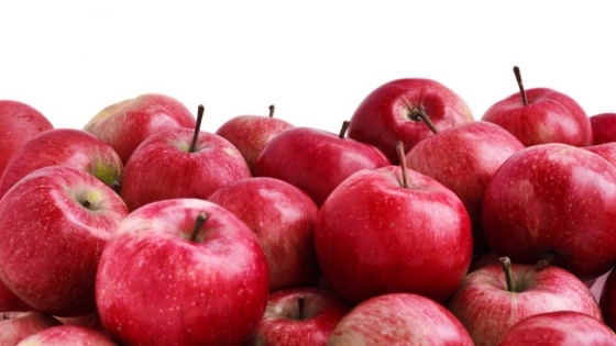 <La producción de manzana en Australia está muriendo porque los precios no han subido en 20 años