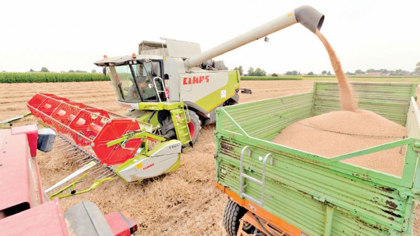 Rusia suspende venta de cereales hasta el 1 de julio