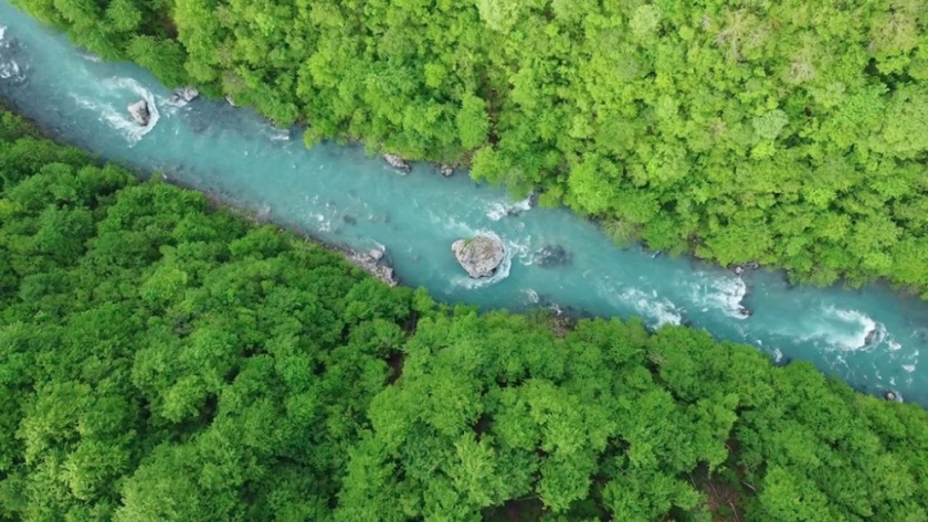 Startup celebra 10 años con la meta de restaurar 350 millones de m³ de agua para 2030