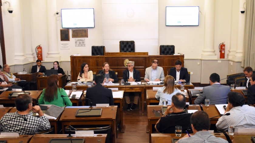 Desarrollo Humano presentó ante senadores los ejes prioritarios para 2025