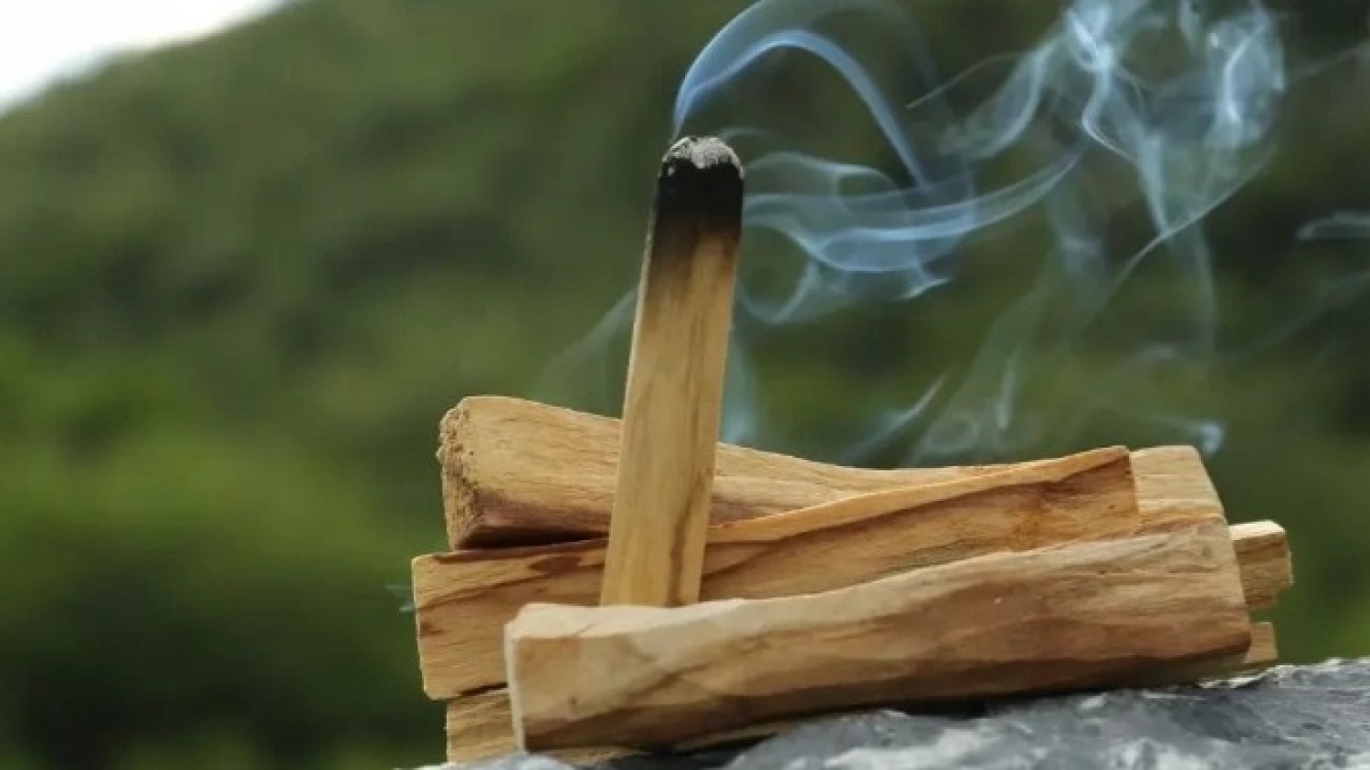 Una empresa chaqueña llevará aceite esencial de palo santo a Europa y proyecta abrir nuevos mercados internacionales