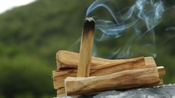 Una empresa chaqueña llevará aceite esencial de palo santo a Europa y proyecta abrir nuevos mercados internacionales