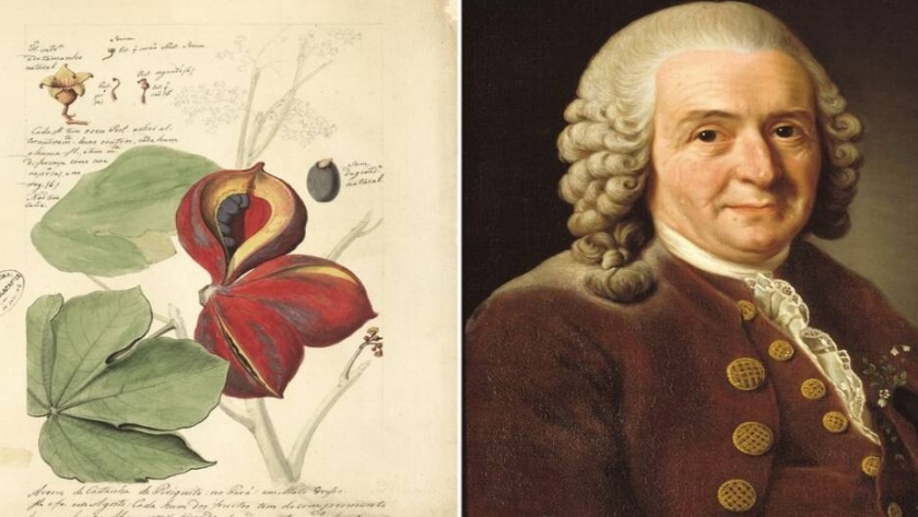 Los botánicos más famosos de la historia