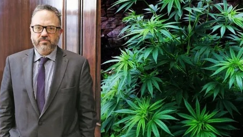Para Kulfas, legalizar el cannabis 
