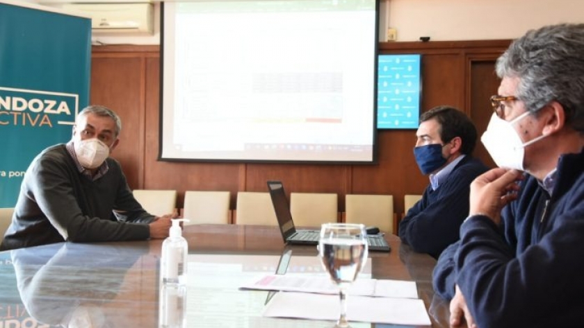Cierre de exportaciones de carne: Mendoza expresó su preocupación por el impacto que genera la medida nacional en el sector ganadero local