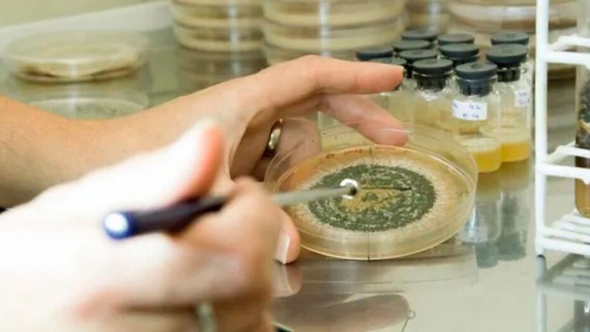 Productos biológicos: más empresas invierten en el sector