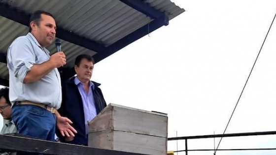 Remate de reproductores en Castelli: 35 toros y 15 hembras