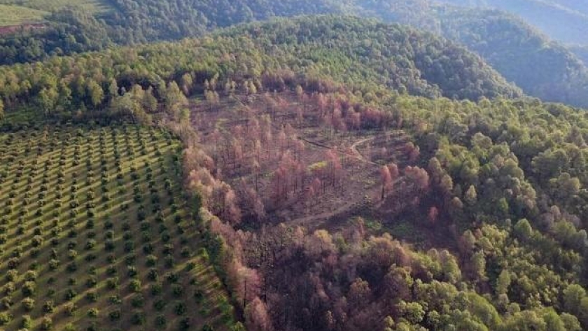 Planes de cambio de uso de suelos en la provincia tucumana