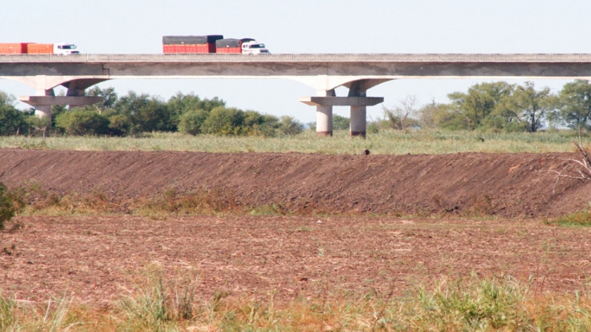 Suspenden preventivamente la construcción de un terraplén en un área naturalmente protegida