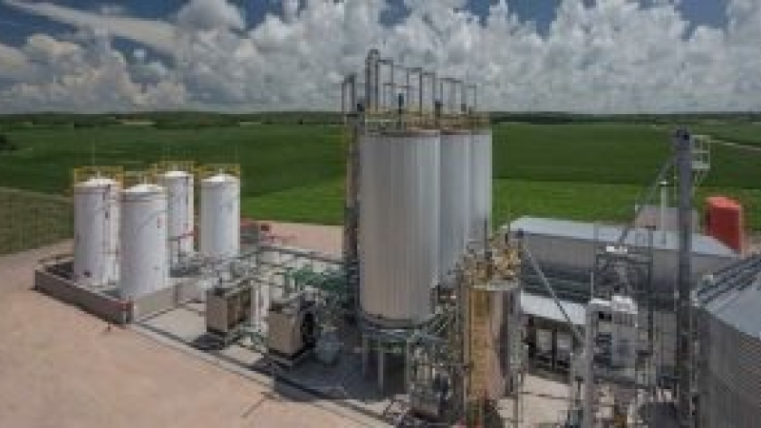Argentina vuelve a picar en punta en el mercado mundial de la harina y el aceite de soja
