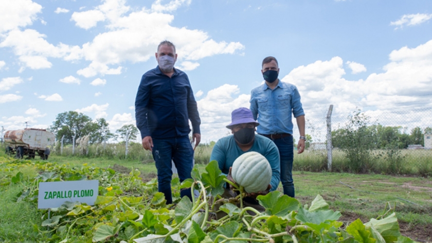 El ministro de Producción y el intendente de La Toma recorrieron la huerta municipal