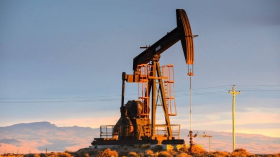 Desarrollo productivo en Comodoro Rivadavia y PyMEs