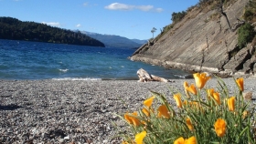 Cuatro rincones de Bariloche donde el verano se vive a orillas del lago