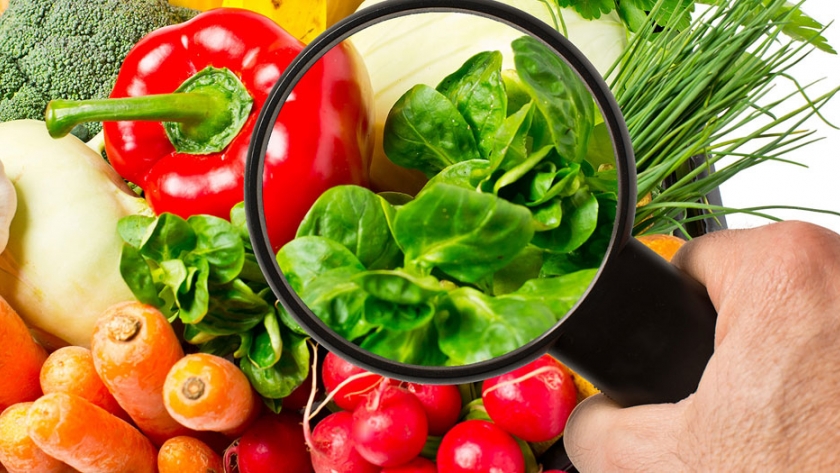 Higiene en los alimentos y prevención de enfermedades