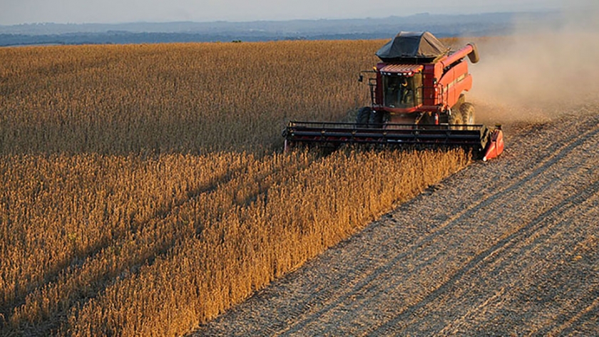 El productor entrerriano debe cosechar 1.990 kg/ha de soja para cubrir los costos