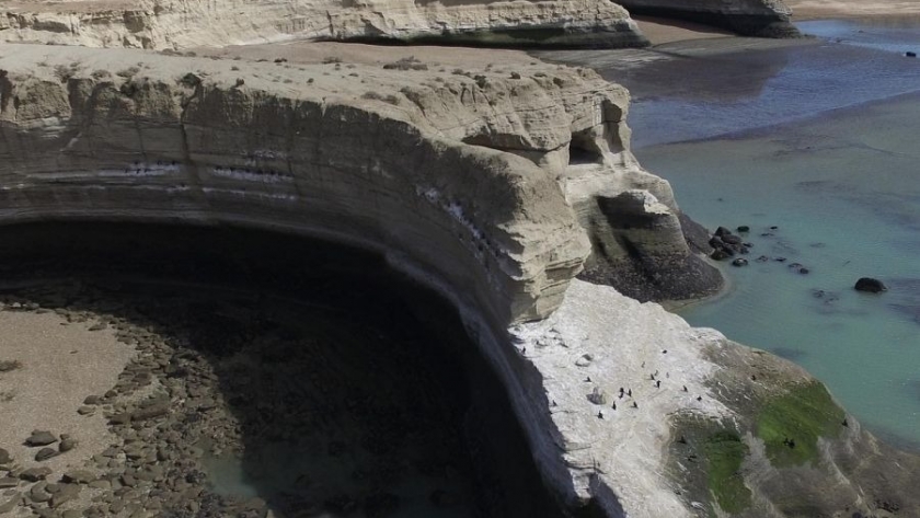 Histórico: Santa Cruz aprobó la creación del Parque Marino Monte León