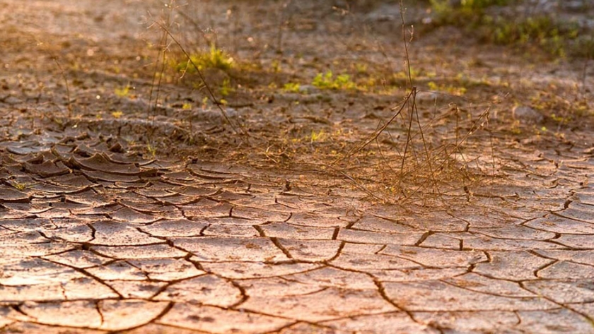 Déficit hídrico en tierras productivas de Santa Cruz complica la siembra y daña cultivos de verano