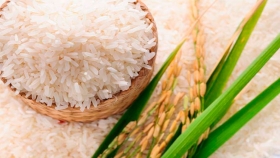 Entre marzo y mayo del presente año Perú importó 70% más de arroz