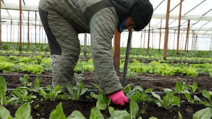Nuevos  proyectos del Plan En Nuestras Manos