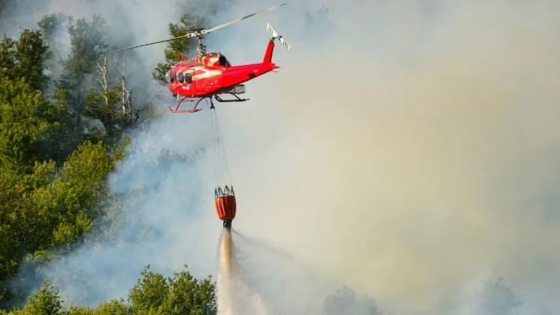 Incendio Valle Magdalena - Parte 25