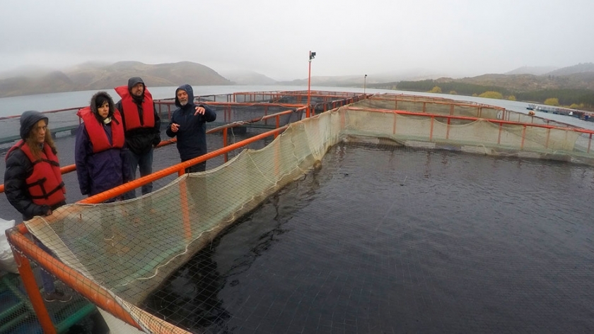 Relevan establecimientos acuícolas en embalse Alicurá