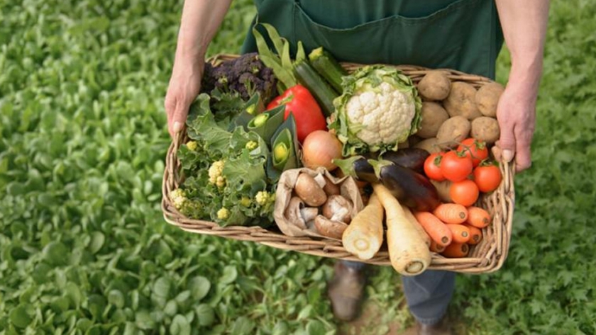 Promueven la producción sustentable en Tucumán