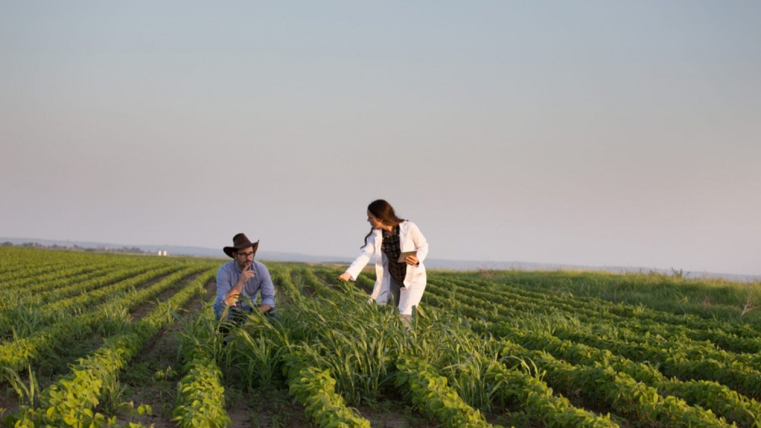 Open-source education could solve farming’s data problem
