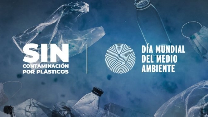 Día mundial del Medio Ambiente, la pesca bajo la lupa