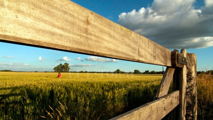 Impuesto a la riqueza: cómo puede afectar al agro el proyecto que será tratado antes de fin de año