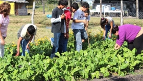 Lanzan el programa Pro Huerta en la región Buenos Aires norte