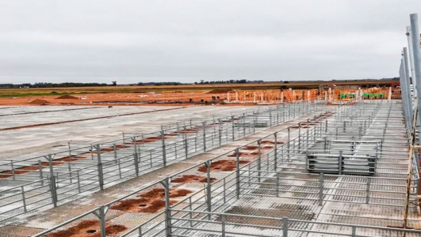 Reinician obras en Cañuelas para la nueva sede del Mercado de Liniers