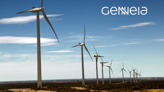 Genneia proyecta inversiones de hasta US$ 500 millones en energía eólica y solar