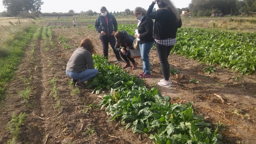 Sello agroecológico para agricultores que producen con compromiso