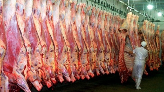 Crece el volumen de carne para exportar