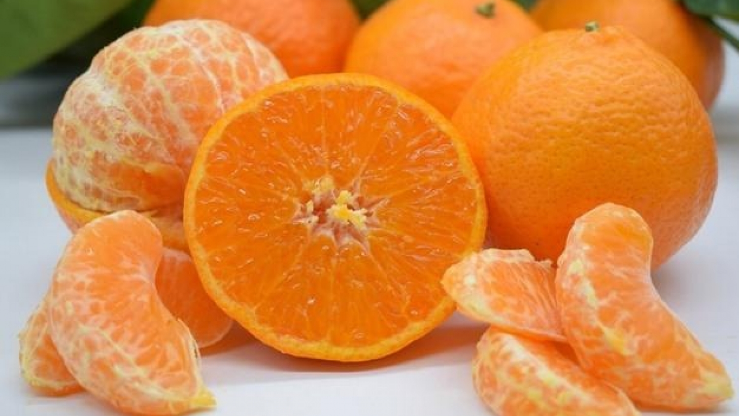Entre Ríos abre un nuevo destino premium: primer embarque de naranjas frescas certificadas hacia Ecuador