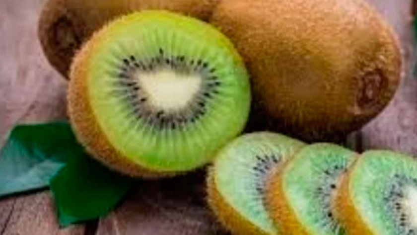 Relación entre el índice de madurez y la conservación frigorífica del kiwi