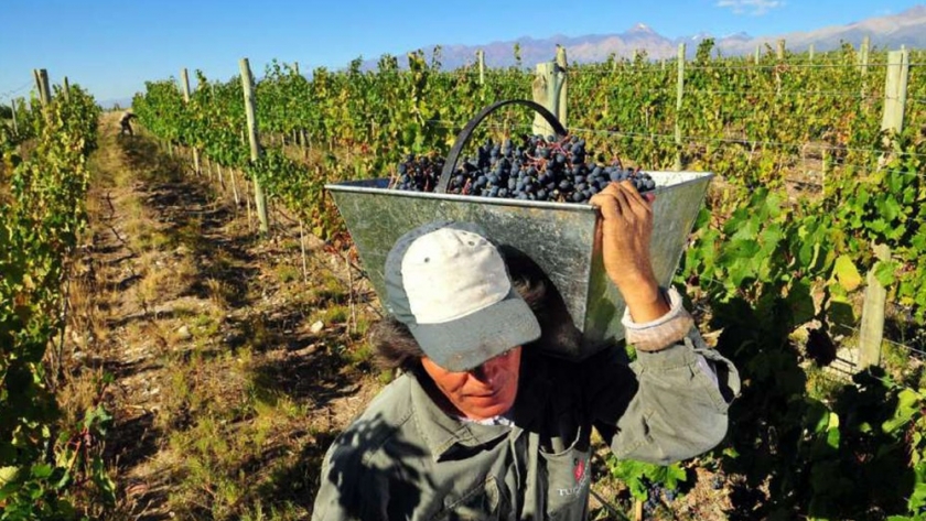 Trabajadores rurales de Cuyo cobrarán un adicional por estudiar