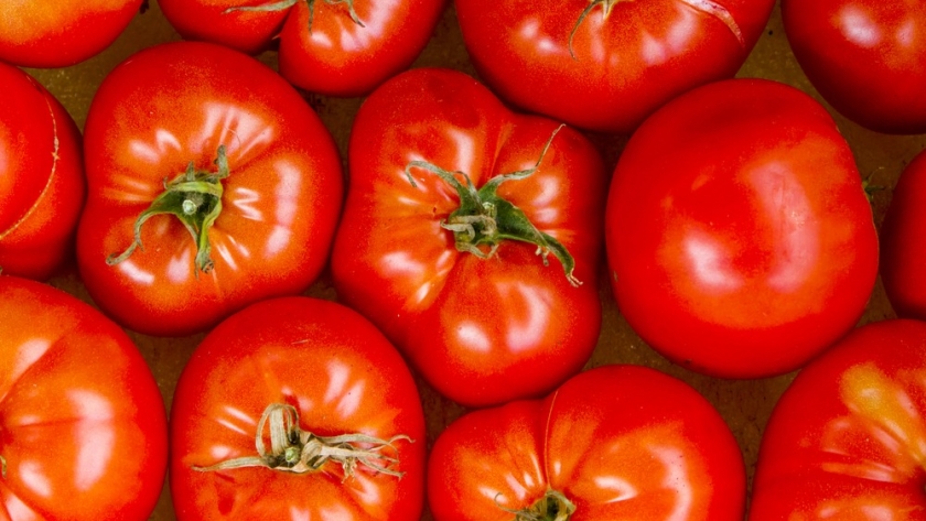 El tomate en Argentina: un análisis de su cadena de valor