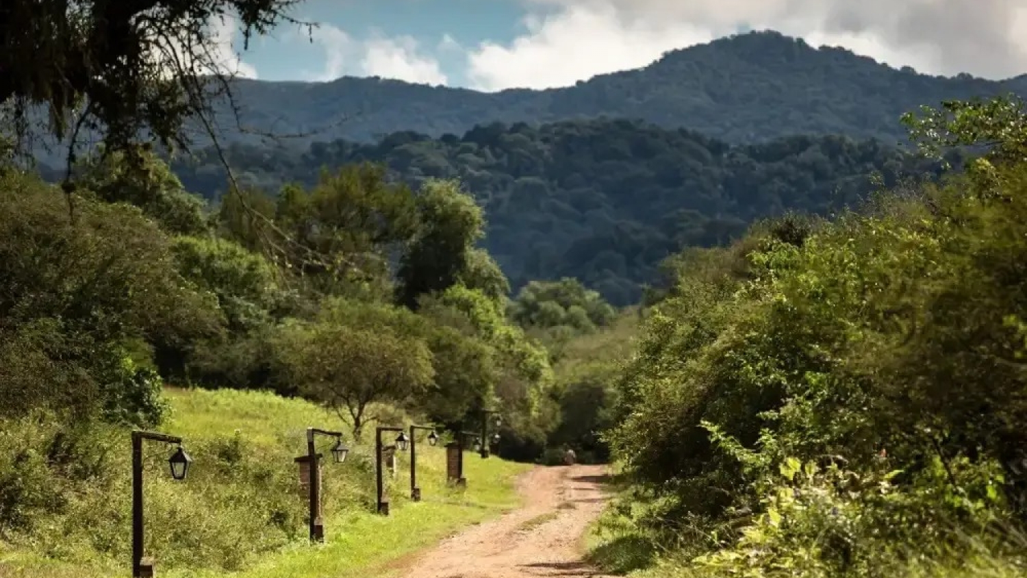 El Parque Nacional Copo: el santuario chaqueño que preserva la biodiversidad del norte argentino