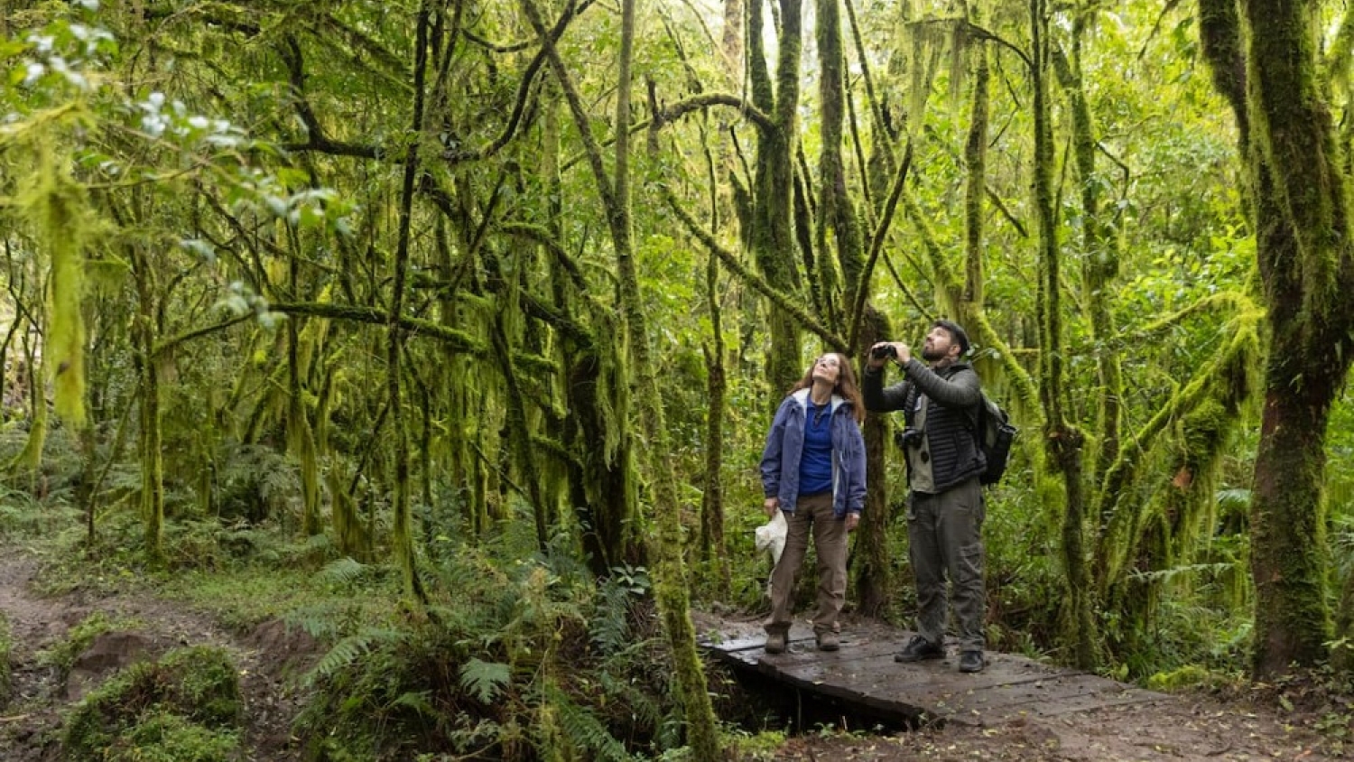 El parque nacional de Tucumán rodeado por los Nevados del Aconquija